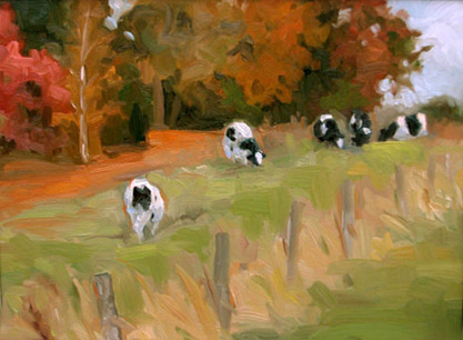 Cows in a Field (c) Mike Wohnoutka
